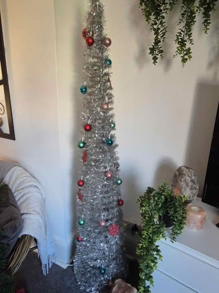 Photo of free Christmas tree (Blackheath, SE13) #1