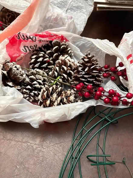 Photo of free Holiday wreath materials (South County/63127) #4