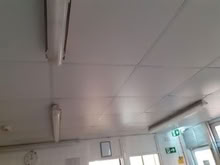 Photo of free Estimated 200 x Ceiling Tiles (Baden Powell Primary School) #3
