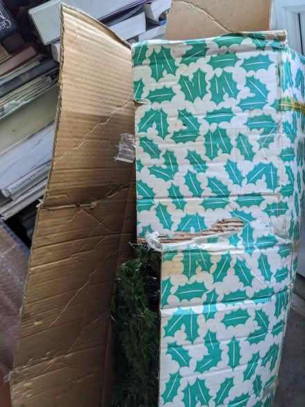 Photo of free Christmas Tree (BD16 cottingley) #2