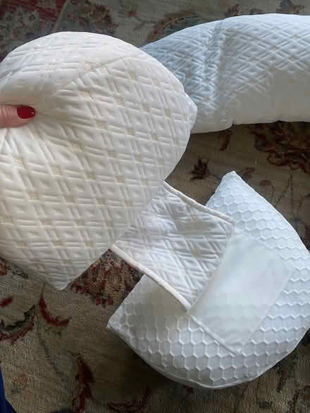 Photo of free Pregnancy pillow (Harringay N8) #3