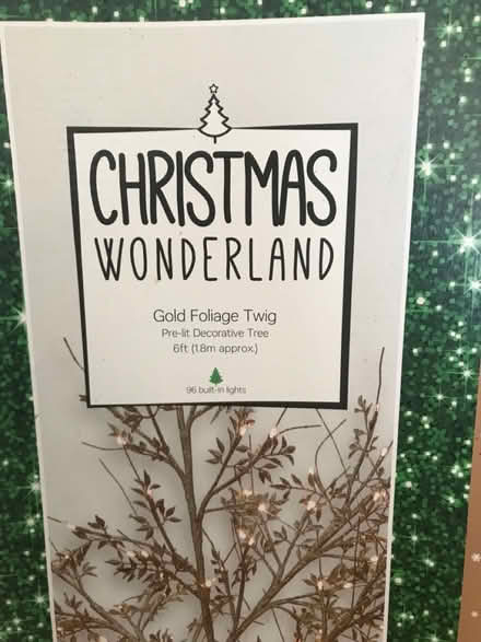 Photo of free Gold twig tree (Bedford (putnoe)) #2