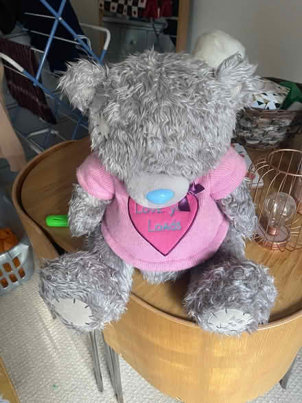 Photo of free Me to you bear (Kenilworth CV8) #2