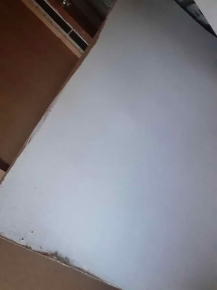 Photo of free 4 pieces of wood like sheets (Handsworth B21) #2