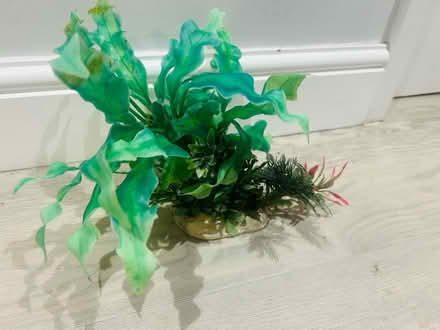 Photo of free Fish tank decoration (Thornton Heath CR4) #1