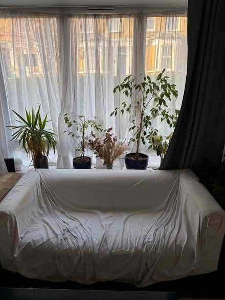 Photo of free White sofa (Shacklewell E8) #2