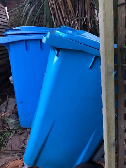 Photo of free 2 x BLUE WHEELIE BINS (Ringwood BH24 1Q) #2