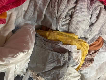 Photo of free blankets/ small metal shelves (NW DC) #4