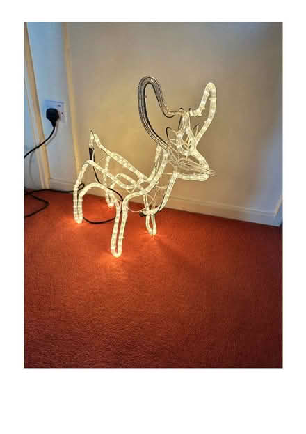 Photo of free Christmas Reindeer (Canford Heath BH17) #1
