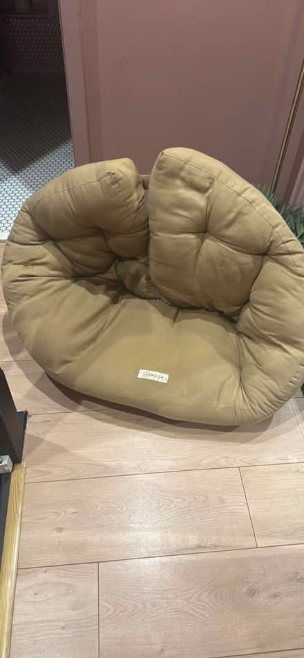 Photo of free Dog bed or baby seat (Folly island SG14) #3