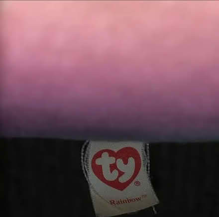 Photo of free TY large stuffed animal (New Market) #2