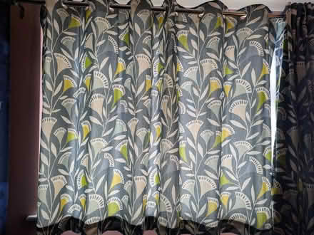 Photo of free Curtains and curtain pole (Wheathampstead AL4) #3