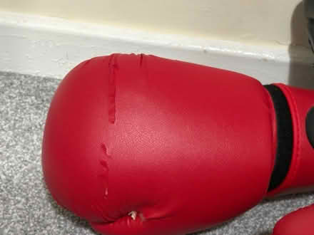 Photo of free Boxing gear (UB1) #2