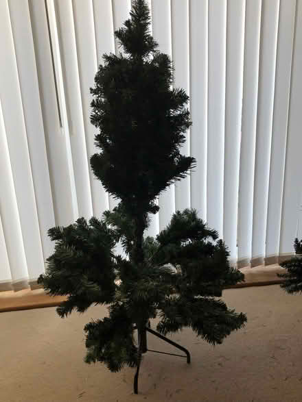 Photo of free Christmas Tree (Wilstead MK45) #1