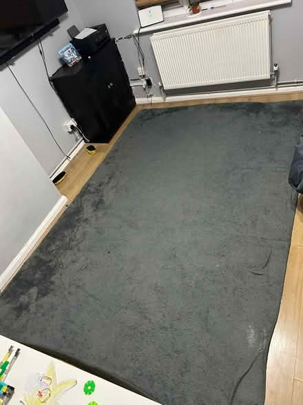 Photo of free 200 by 300cm Rug (Walthamstow) #1