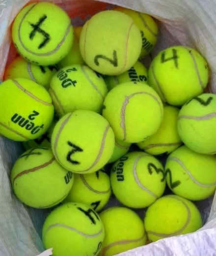 Photo of free Tennis Balls (East San Rafael) #2