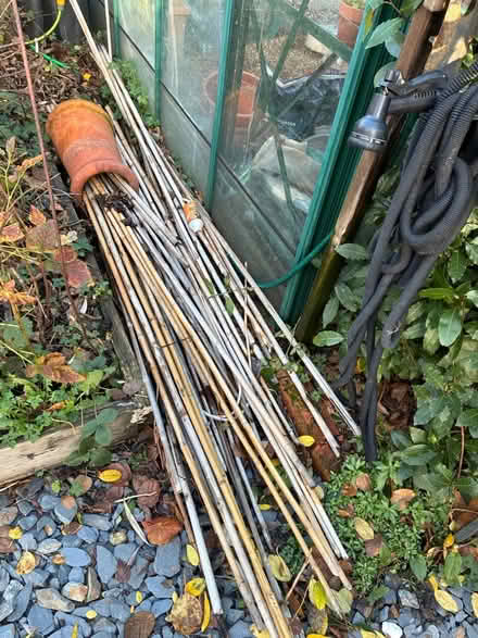 Photo of free Bamboo sticks (SM4 South Merton) #1