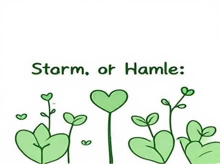 Photo of String of Hearts & String of Beads - cutting or plants (Leegomery TF1) #1