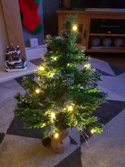 Photo of free 2ft pre lit Christmas tree (Nottingham NG8) #1