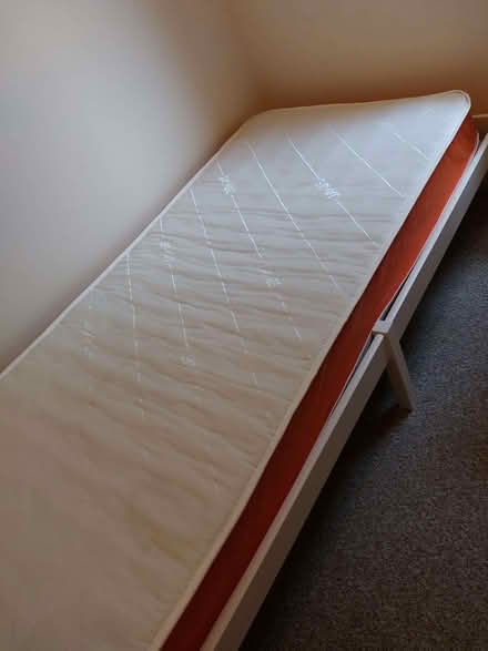 Photo of free single mattress (Erith DA8) #3
