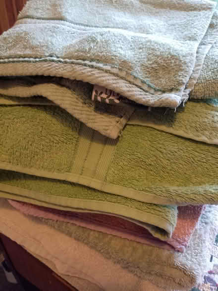 Photo of free Towels (TN23) #1