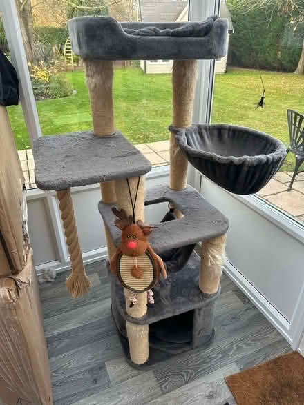 Photo of free Large Cat Tree (Holbeach St Marks PE12) #1