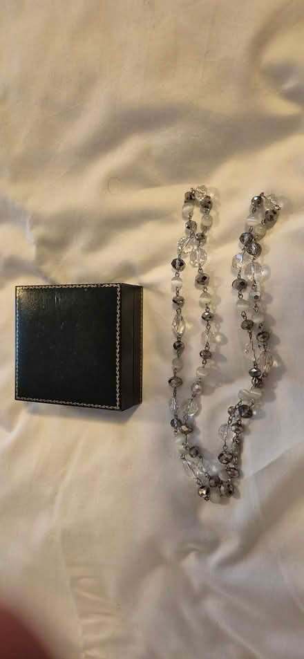 Photo of free Necklace and case (Clanfield) #1