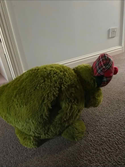 Photo of free “ Nessie” hand warmer (Hucclecote GL3) #2