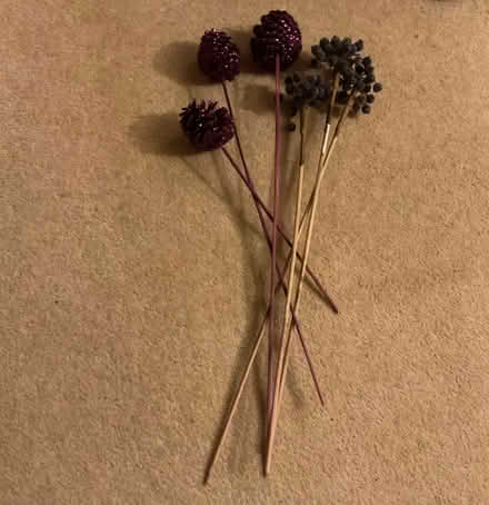 Photo of free Artificial ‘flowers’ (Pannal HG2) #1