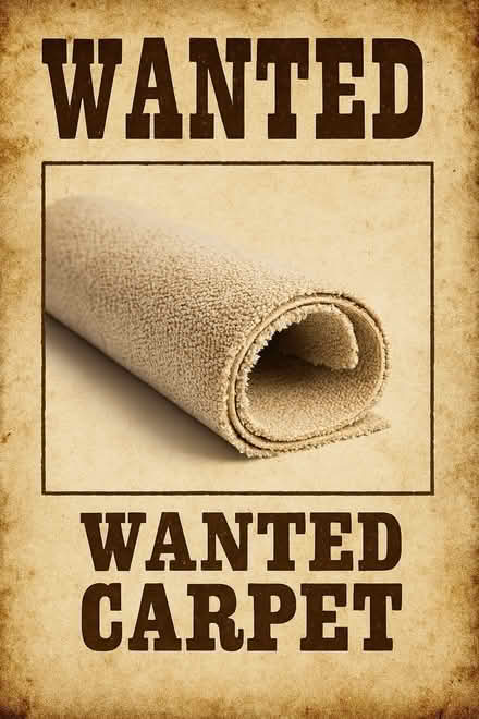 Photo of Carpet 3.1m x 2.7m (Milford, Surrey) #1