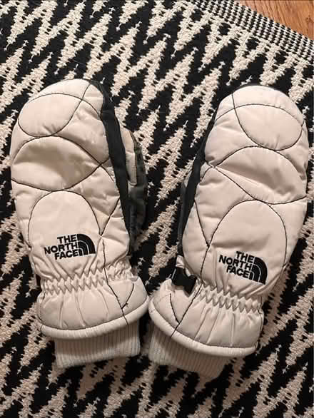 Photo of free Ski gloves (Hawkhead, Paisley) #1