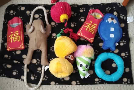 Photo of free Dog Toys and blanket (Greenbank and Hunt Club) #1