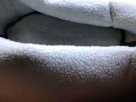 Photo of free Motorcycle helmet storage bag (Presteigne LD8) #2