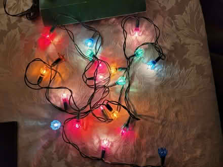 Photo of free Christmas lights (Haslucks Green B90) #4