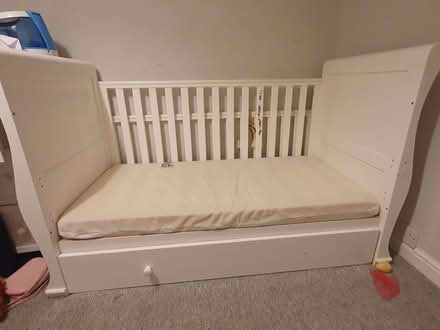 Photo of free Cot bed (St Stephens AL1) #1