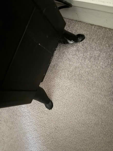 Photo of free Electric log burner style fire (Trotton, Hants GU31) #2