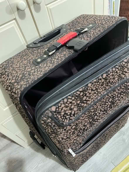 Photo of free Large suitcase (Daimler Green CV1) #2