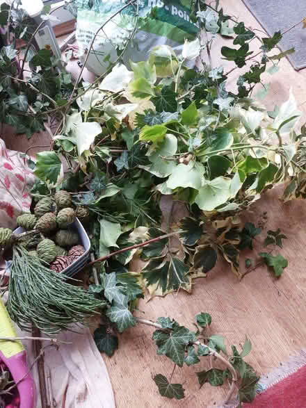 Photo of free Christmas Wreath foliage (Warden Hill GL51) #4