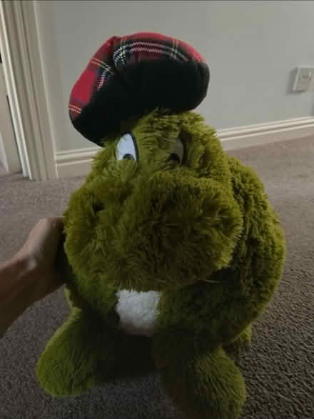 Photo of free “ Nessie” hand warmer (Hucclecote GL3) #1