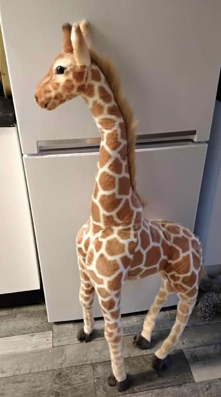 Photo of free Large giraffe (Malinslee TF3) #1