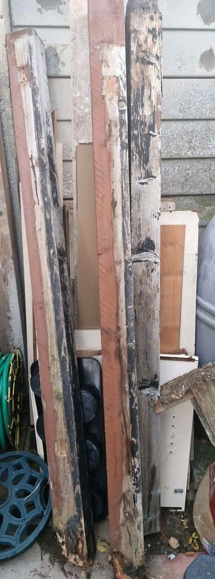 Photo of free Timber posts (Great Baddow CM2) #1