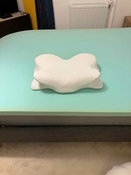 Photo of free Foam mattress topper and back rest (Mill Hill NW7) #2