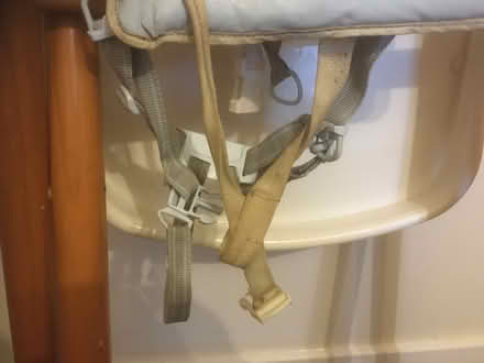 Photo of free High chair (Edinburgh South EH9) #3