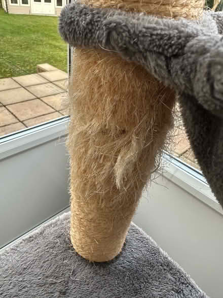 Photo of free Large Cat Tree (Holbeach St Marks PE12) #2