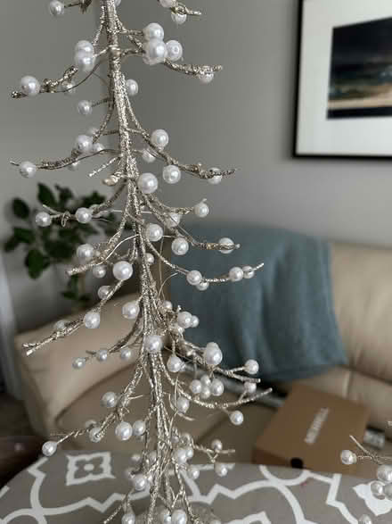 Photo of free Christmas decorations (Newbeg) #2