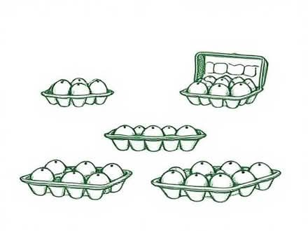 Photo of free Egg boxes and trays (Wayfield ME5) #1