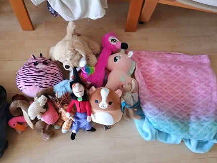Photo of free Various soft toys+ (Teddington TW11) #1