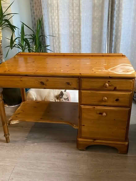 Photo of free Pine (Norbury, SW16) #1