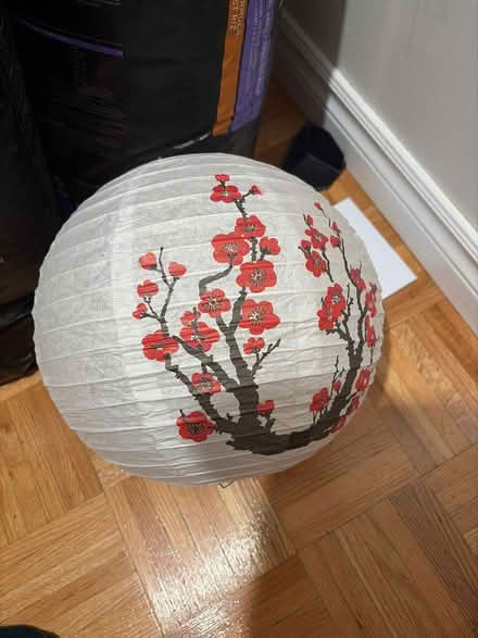 Photo of free Paper lantern (Mavis and Eglinton) #1