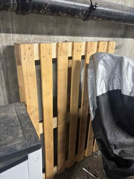Photo of free Wood Pallet (Fulham SW6) #1